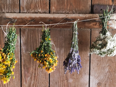 Melemi Timočke krajine