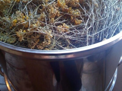 Melika Behlo: "One leaf" je simbol prirode