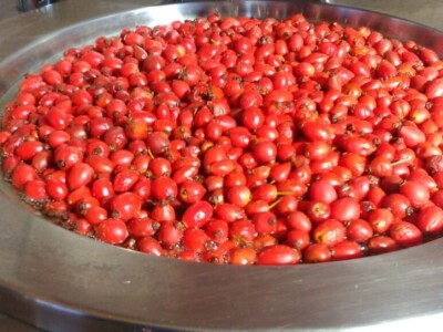 Mersiha Skejić: Kvalitet naših proizvoda nam je najvažniji