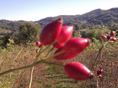 Mersiha Skejić: Kvalitet naših proizvoda nam je najvažniji