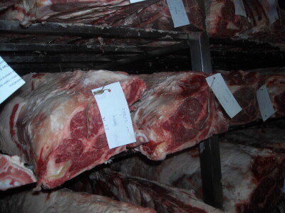 Mesara iz Jakova proizvodi juneće stareno (odležalo) meso