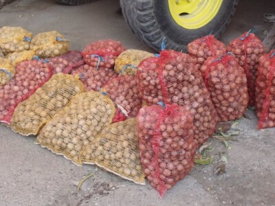 Mesaroš iz Čakovaca