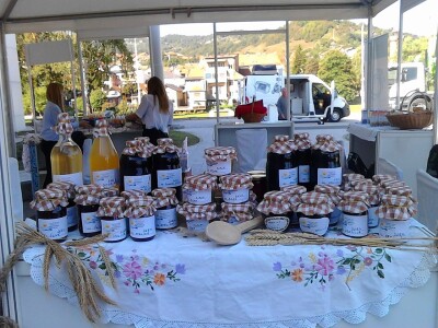 Mevlida Mehanović - Udruženje žena Podrinjka