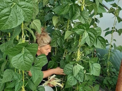 Mevlida Saltagić: Zbog suprugove alergije sam se okrenula proizvodnji povrća bez hemije