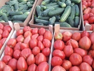 Mevlida Saltagić: Zbog suprugove alergije sam se okrenula proizvodnji povrća bez hemije