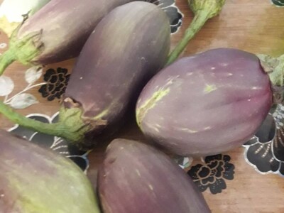 Mevlida Saltagić: Zbog suprugove alergije sam se okrenula proizvodnji povrća bez hemije