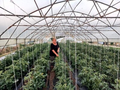 Mevlida Saltagić: Zbog suprugove alergije sam se okrenula proizvodnji povrća bez hemije