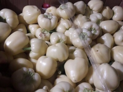 Mevlida Saltagić: Zbog suprugove alergije sam se okrenula proizvodnji povrća bez hemije