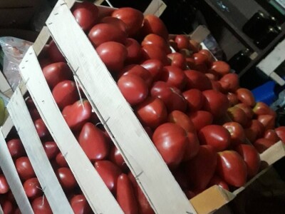 Mevlida Saltagić: Zbog suprugove alergije sam se okrenula proizvodnji povrća bez hemije