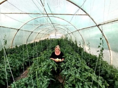 Mevlida Saltagić: Zbog suprugove alergije sam se okrenula proizvodnji povrća bez hemije