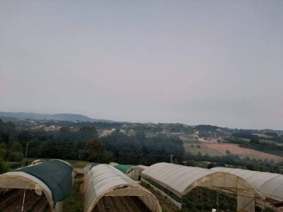 Mevlida Saltagić: Zbog suprugove alergije sam se okrenula proizvodnji povrća bez hemije