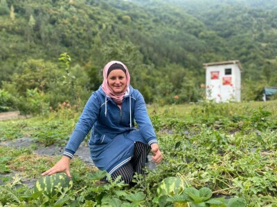 Mevlija Bečić: Zahvaljući evropskoj metodi berbe, sve jagode sam prodala na plantaži