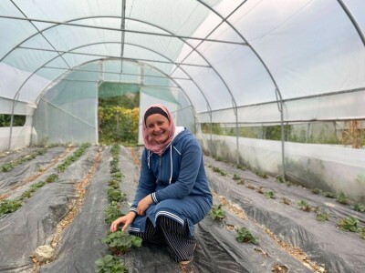 Plantažna proizvodnja jagoda Mevlije Zečić