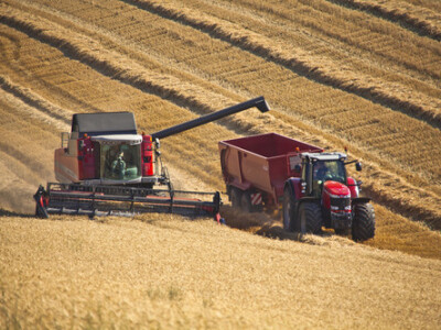 Kombajn Massey Ferguson Kombajni MF Beta