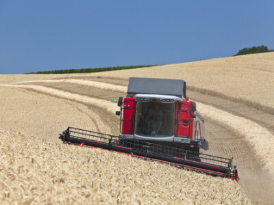 Kombajn Massey Ferguson Kombajni MF Beta