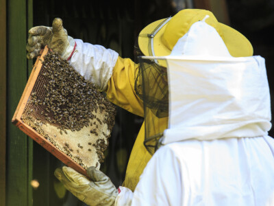 Godina je bila dobra, ali pamte se i bolje