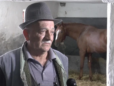 Mića Kikinđanin