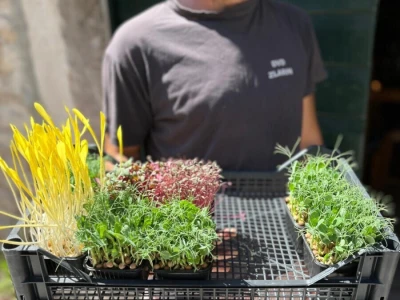 Microjungle Zlarin
