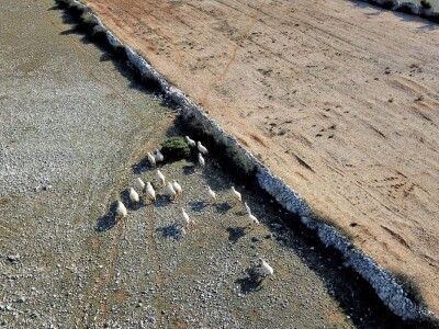 MIH Sirana Kolan MIH Sirana Kolan