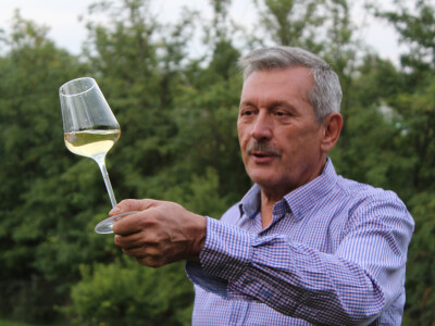 Mihalj Gerstmajer - Mišika