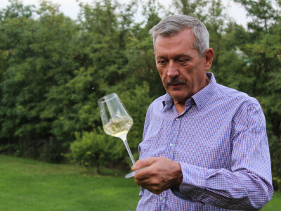 Mišika - 60% naše ponude čini graševina