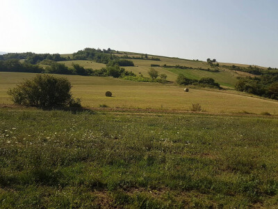 Slavonski brežuljkasti kraj