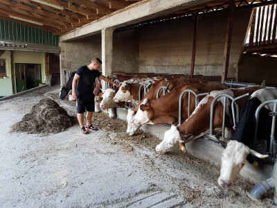 Vinko je ostao na selu