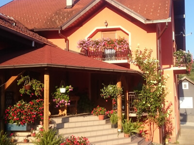 Detal dvorišđta obitelji Mikanović