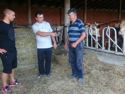 Vinko, Hinko i Jerko