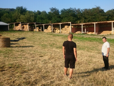 Pripremaju sijeno i slamu