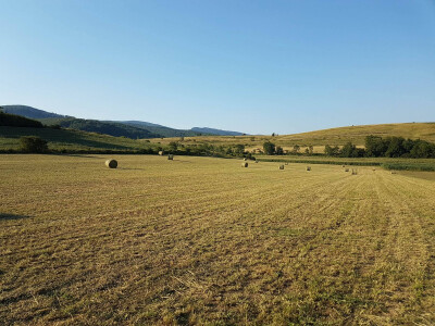 Lokacija za gradnju novog objekta za goveda