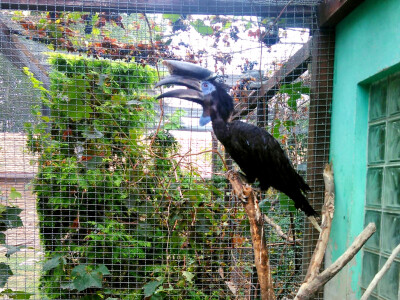 Zoo vrt "Miki" u Kolutu