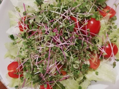 Mikrobilje je izuzetno hranljivo