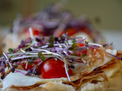 Mikrobilje je izuzetno hranljivo