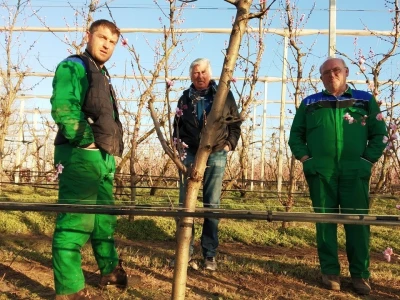 Uspjeh Kovačevića sa Baštice: Elimirali herbicide, udvostručili prinose, dobili Global Gap i osvojili  europske trgovačke lance