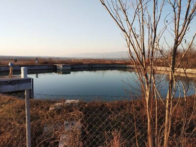 Uspjeh Kovačevića sa Baštice: Elimirali herbicide, udvostručili prinose, dobili Global Gap i osvojili  europske trgovačke lance Uspjeh Kovačevića sa Baštice: Elimirali herbicide, udvostručili prinose, dobili Global Gap i osvojili  europske trgovačke lance