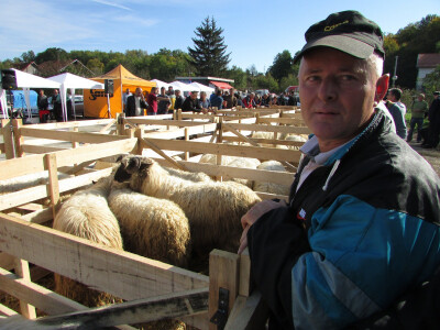 Milan-Gavrilovic-Knezica