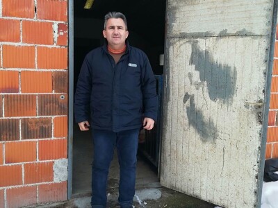 Milan Macanović: Danska genetika je vrhunska i imala je efekta