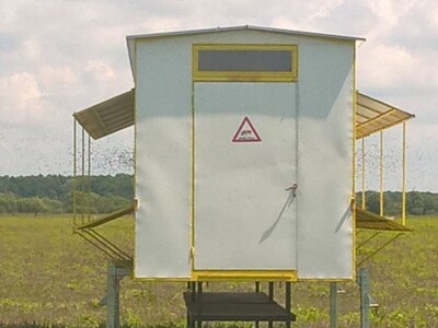 Milan Mesić, Novska