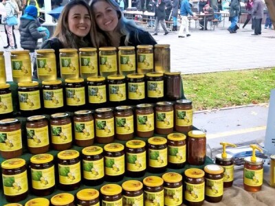 Milan Mesić, Novska