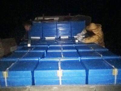 Milan Mesić, Novska