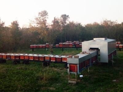 Milan Mesić, Novska