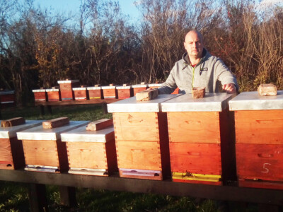 Milan Mesić, Novska