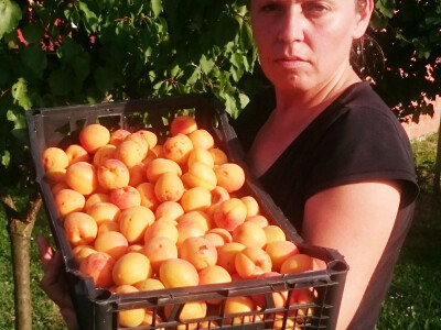 Puno plodova poklonjeno rodbini i prijateljima