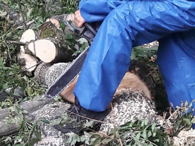 Marija je vješta u radu sa motornom pilom