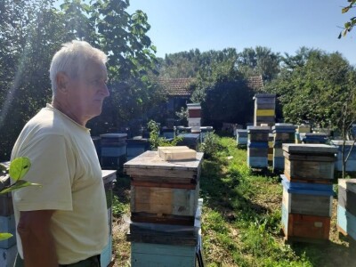 Mile Simonović Mile Simonović