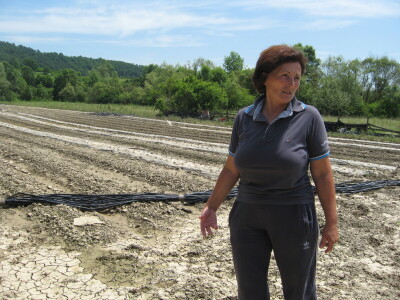 Gruža posle poplava