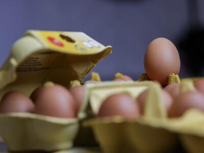 Milijardu jaja na Farmi koka nesilica Vuka