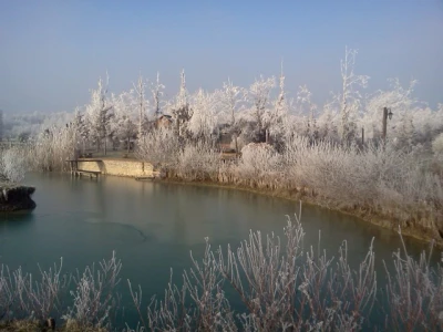 Slavonski sokak