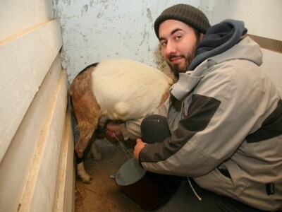 Milk Bar (OPG Mario Krog)